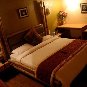 Superior Double or Twin Room Mountain View